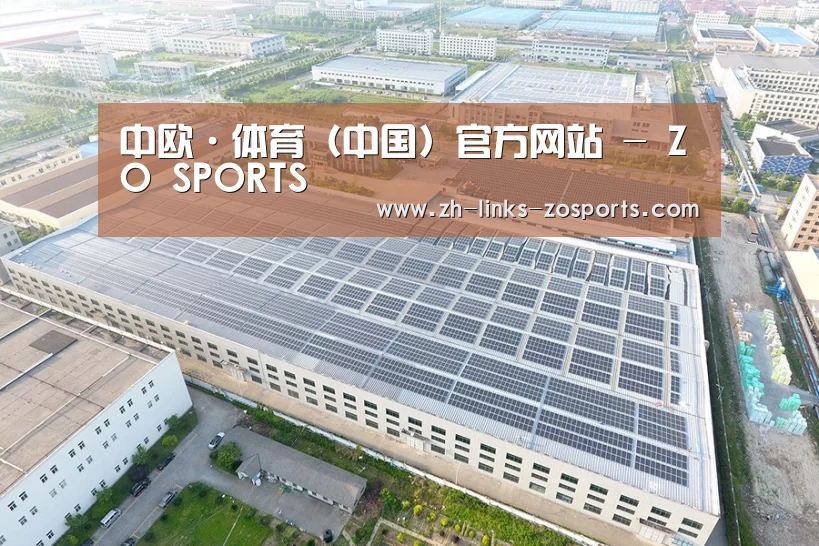案例展示二