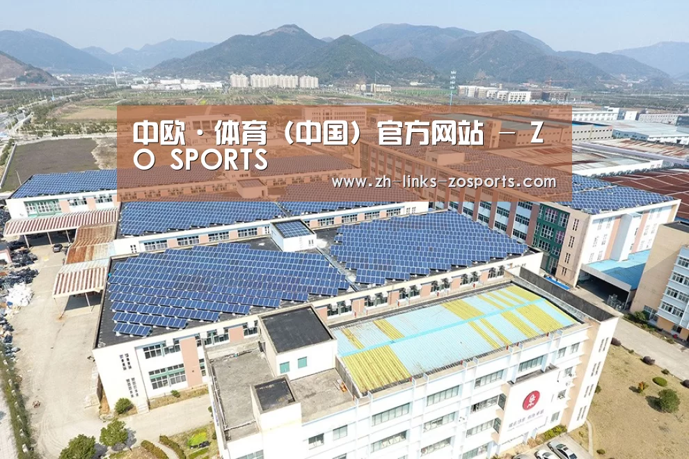 案例展示四