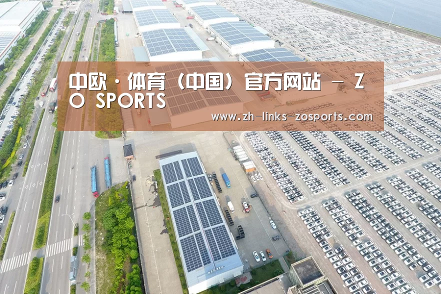 案例展示四
