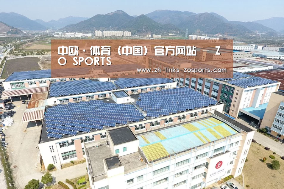 案例展示三