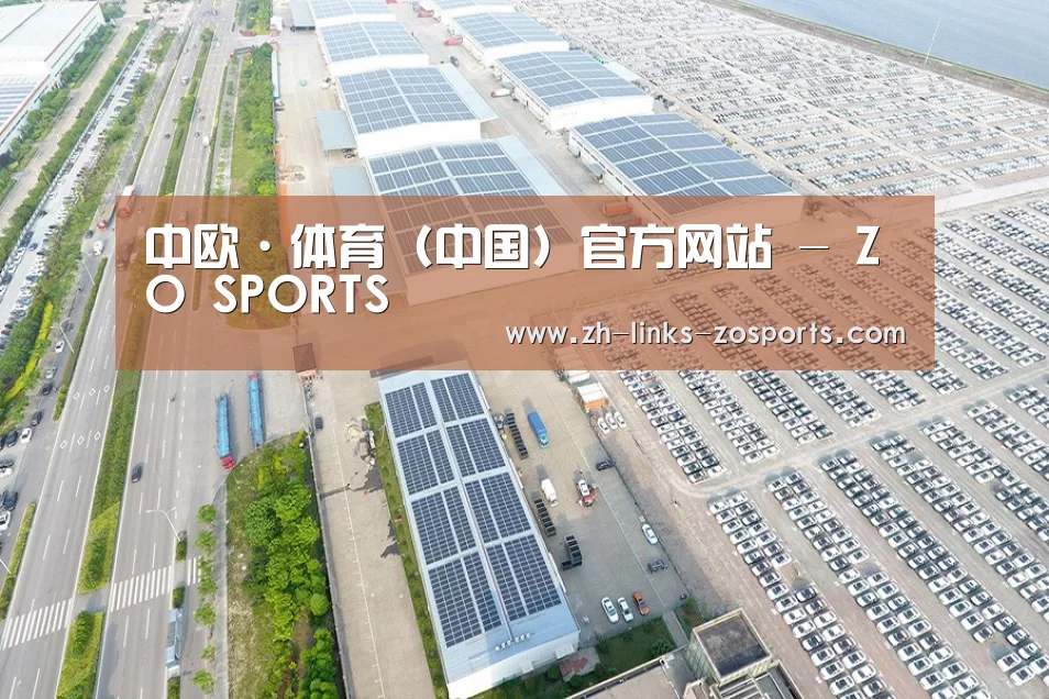 案例展示三