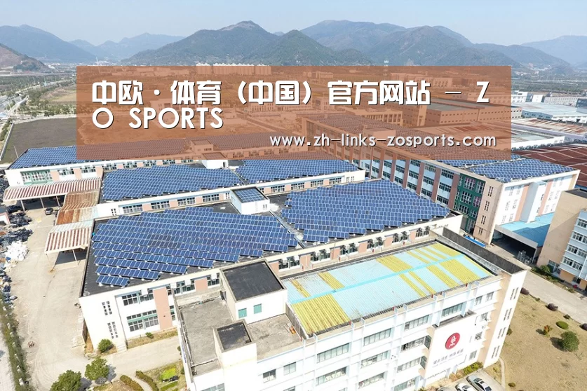案例展示三