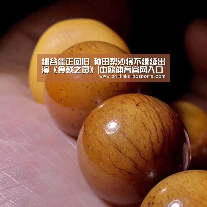 中欧体育官网入口，中欧体育官方下载，中欧体育平台