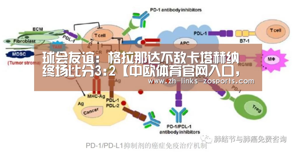 中欧体育官网入口，中欧体育官方下载，中欧体育平台