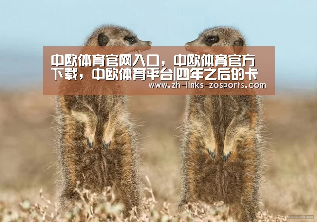 中欧体育官网入口,中欧体育官方下载,中欧